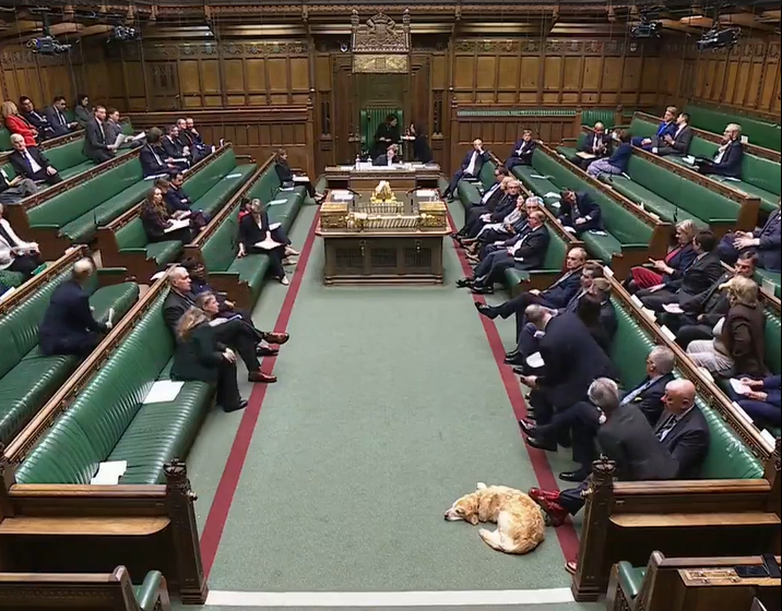 UK MP Zarah Sultana Describes Capturing Of Nicholas Maduro By US As Illegal, Asking Labour Government If President Trump Can Do Same To The British P.M And Wife