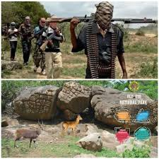 image Gunmen Kill Five At Old Oyo National Park Service Post In Tuesday Night Attack.