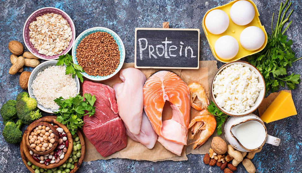 Dietary Proteins
