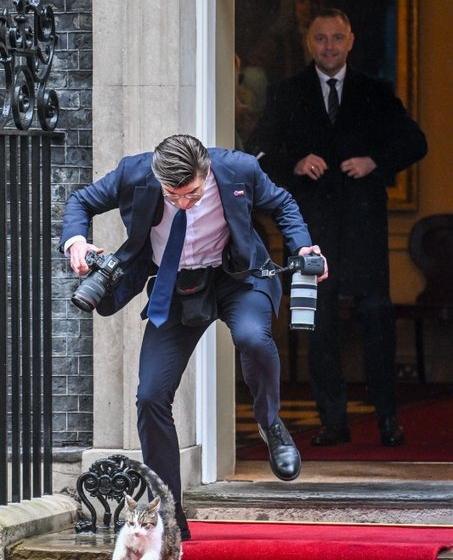 Photo Story: Polish President’s photographer caught tripping over Larry the Cat outside 10 Downing Street While President Nawrocki watches on