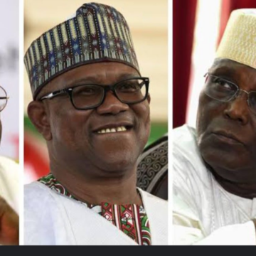 image THE FORTRESS AND THE FLOOD: HOW LOCAL SUFFERING WILL SMASH APC’S 29-GOVERNOR WALL IN 2027