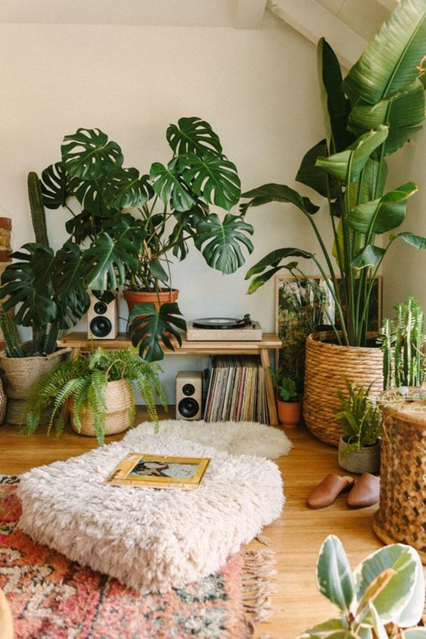 The Urban Jungle – Bringing Lush Life Into City Homes