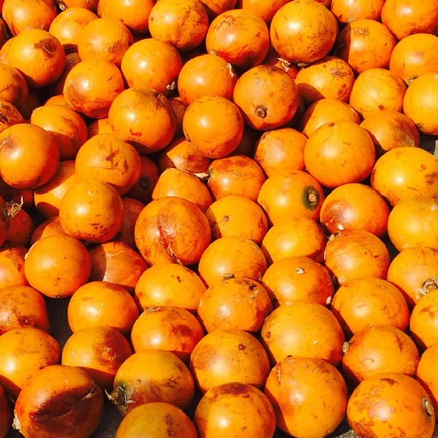 Agbalumo: The Seasonal Superfood You Shouldn’t Ignore