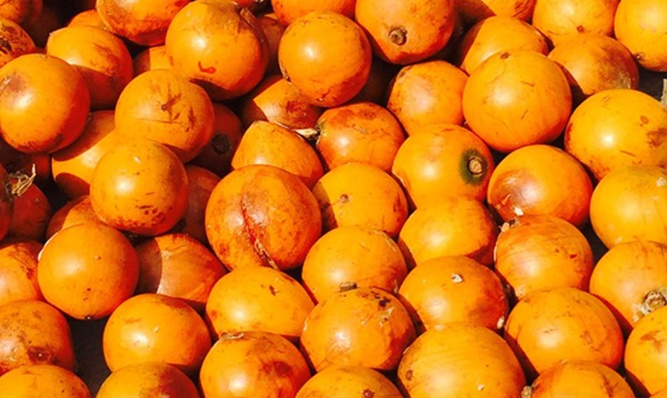 Agbalumo: The Seasonal Superfood You Shouldn’t Ignore