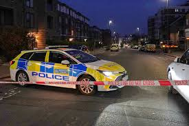 image Vehicles Belonging To Jewish Ambulance Service Set On Fire In London In Apparent Antisemitic Attack