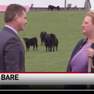 Kentucky Family Rejects $26 Million Offer To Convert Part Of Their Farm Into A Data Center, Owner Distrust A.I Company, Says She ‘Doesn’t Need The Money Or The Hassle.’