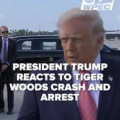 President Trump Statement On Tiger Wood Roll Over Crash, Describes The Golfer As An ‘Amazing Man,’ Whose ‘Got Some Difficulty’