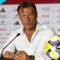 Saudi Arabia Sack Hervé Renard Two Months Before World Cup