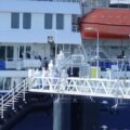 WHO DG Tedros Ghebreyesus Reports 11 Cases Of Hantavirus –9 Confirmed, 2 Probable– Including Three Deaths, As MV Hondius Arrives In The Netherlands