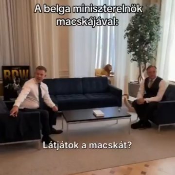 image Hungarian Peter Magyar Meets Belgian P.M Bart De Wever’s ‘World-Famous Cat’, After Successful Bilateral Discussion