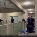 LA Police Shoot Golden Retriever After Dog Owner’s Neighbor Call Authorities Over Supposed Distress Noise, That Turns Out To Be Cheers For New York Knicks Wins.