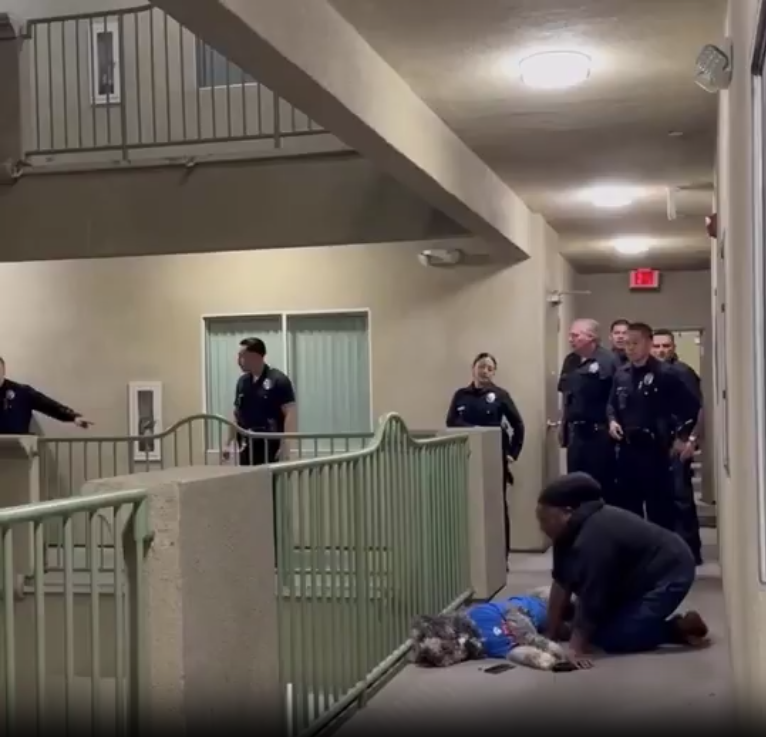 image LA Police Shoot Golden Retriever After Dog Owner’s Neighbor Call Authorities Over Supposed Distress Noise, That Turns Out To Be Cheers For New York Knicks Wins.