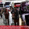 New York Mayor, Other Leaders Push To Ban Horse-Drawn Carriage Rides After Indian Teen’s Death