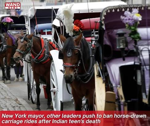 image New York Mayor, Other Leaders Push To Ban Horse-Drawn Carriage Rides After Indian Teen’s Death